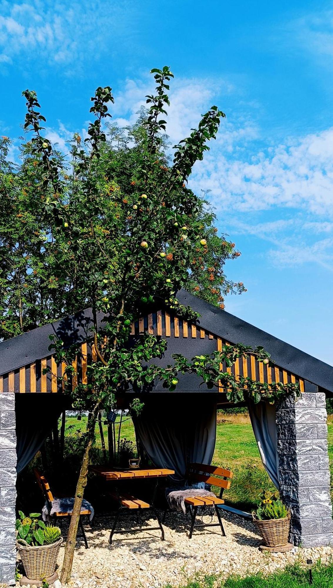 Wolfpack Guest House Białka Tatrzańska Kültér fotó